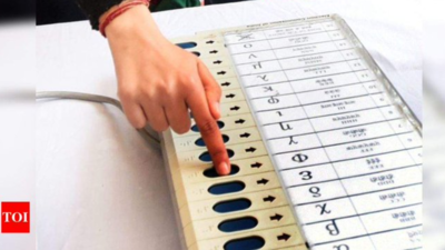 Goa: 15 candidates in fray for byelection to 3 zilla panchayat seats