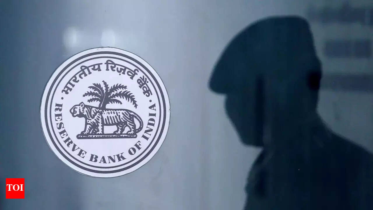Rbi: Private crypto coins undermine financial stability: RBI note - Times  of India