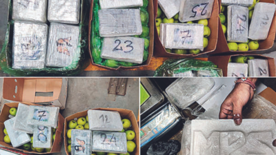 Navi Mumbai: DRI finds Rs 500 crore cocaine in apple container ...