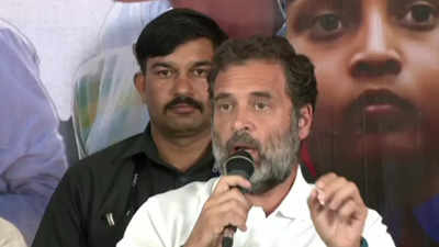 Won't Remote-control New Congress President: Rahul Gandhi | Bengaluru ...