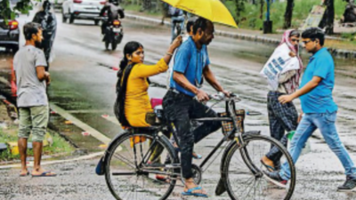 Gurugram: AQI 'good' for second day on the trot, thanks to rain