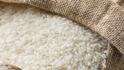 New Varieties Of Pulses, Rice At Mela | Bengaluru News - Times of India