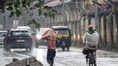 Incessant rain disrupts daily life in Uttarakhand; roads blocked, rivers swell, Naini Lake hovers just below danger mark