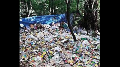 7,000 plastic bottles collected on Kedarnath route to manage waste