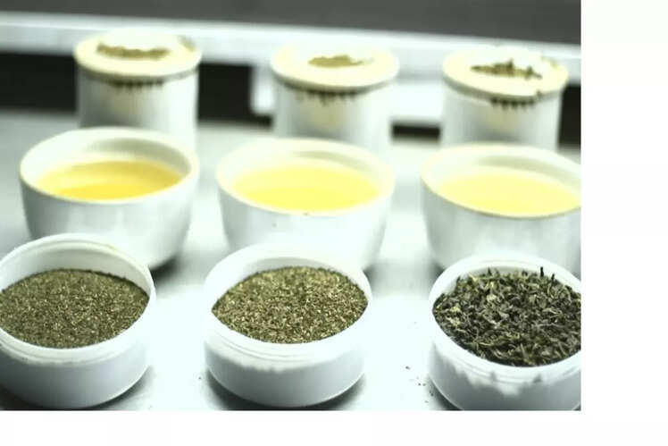 Explore the tea museum