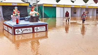 Saras mela in Gurugram: Heavy rain inundates stalls, owners stare at huge losses