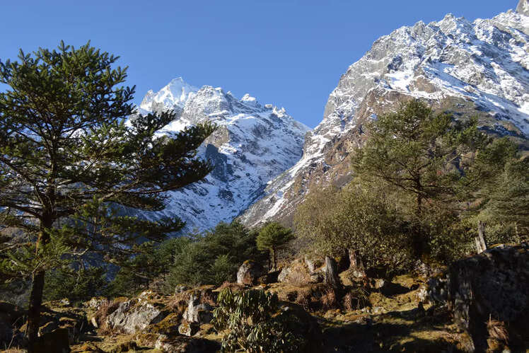 Visit Lachung for its natural beauty