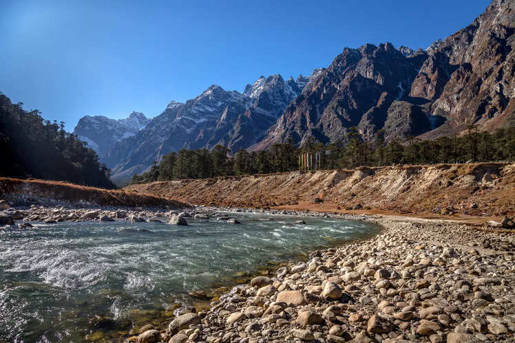 Explore Yumthang Valley