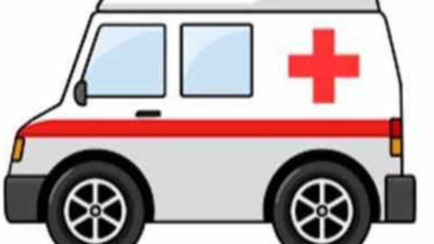 10 Of 17 Vet Ambulances Stalled For Lack Of Staff | Hubballi News - Times  of India