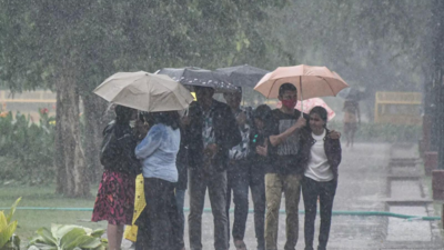 Delhi likely to witness light rain on Wednesday
