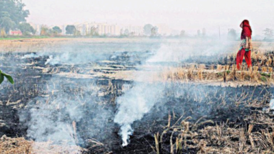Stubble burning clear and present danger, next 40 days could be tough for Delhi: Centre