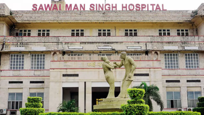 Jaipur: Doctors' stir hits health services at SMS Hospital