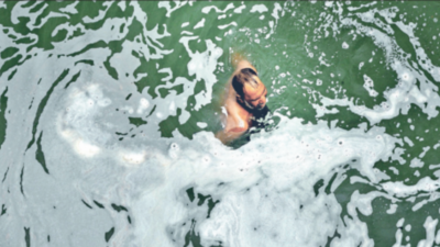 Yamuna so polluted that Noida won't release fish in water