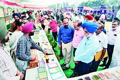 Agriculture varsity resumes food industry and craft mela