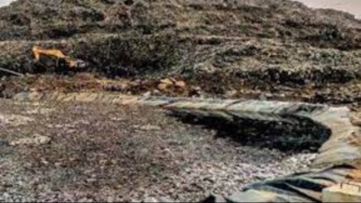 Work on Bandhwari waste plant likely to start by December end: Ecogreen