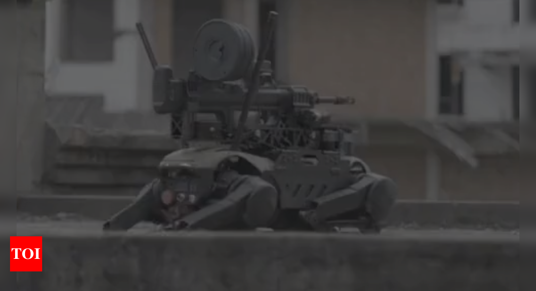 Watch: China’s robot dog carrying a gun
