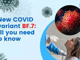 New COVID variant BF.7: All you need to know