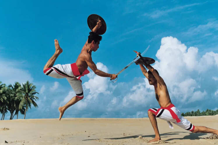 Check out Kalaripayattu