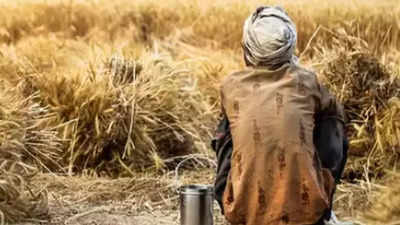 1,800+ deaths in 8 months: Sharp rise in farm suicides in Maharashtra