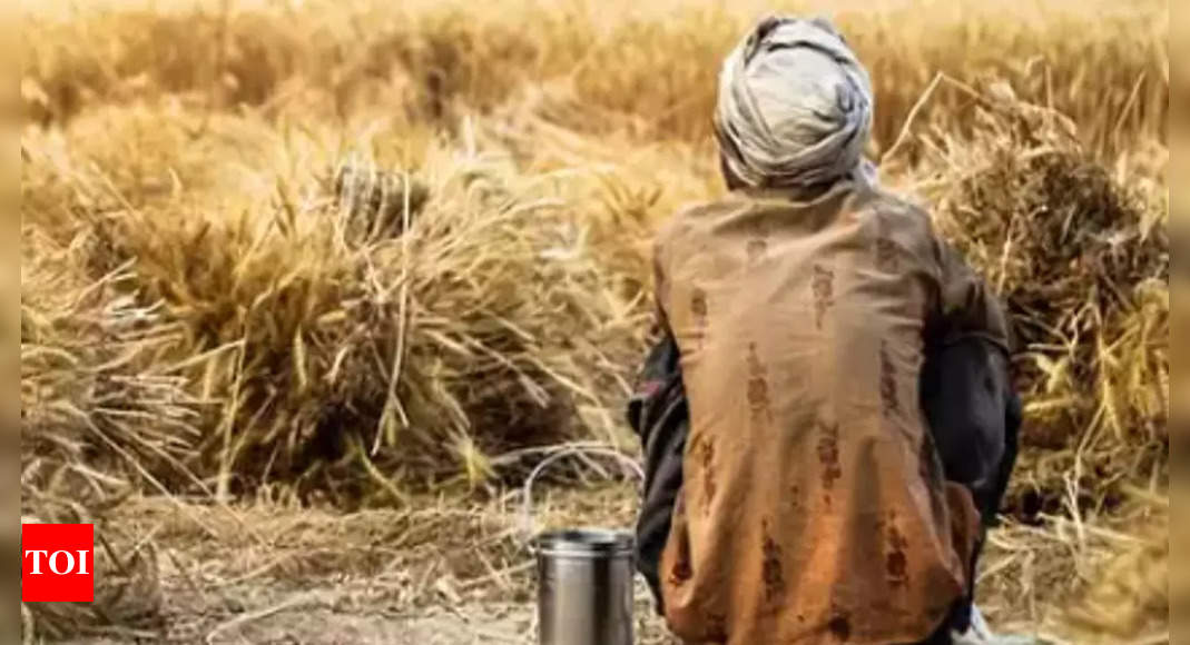 1,800+ Deaths In 8 Months: Sharp Rise In Farm Suicides In Maharashtra ...