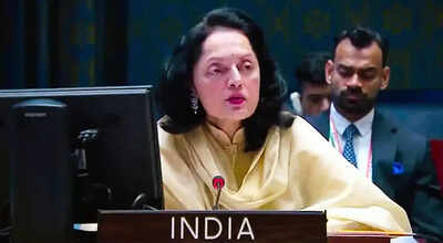'Frivolous': India slams 's attempt to raise Kashmir during UNGA Ukraine vote