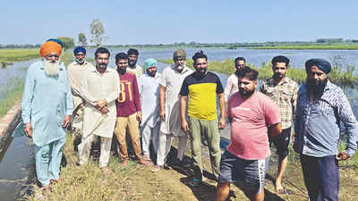 2 Punjab-Haryana border villages inundated for 3 months