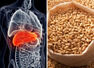 Healthy recipes that are liver-friendly