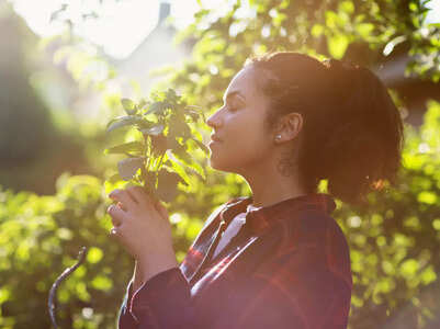 How lemon balm helps in getting glowing skin