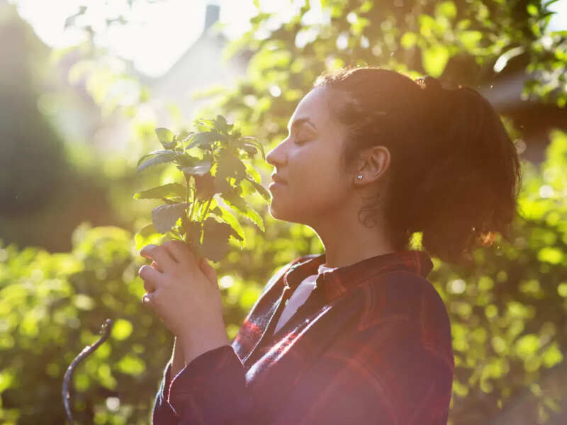 How lemon balm helps in getting glowing skin