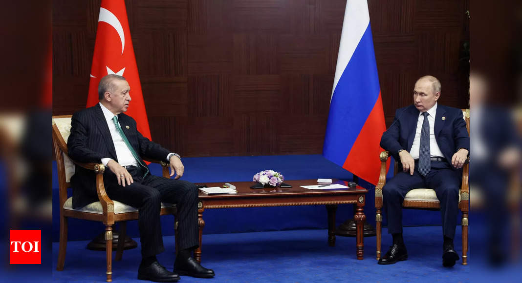 Putin: Putin Puts 'gas Hub' Plan To Turkey's Erdogan - Times Of India