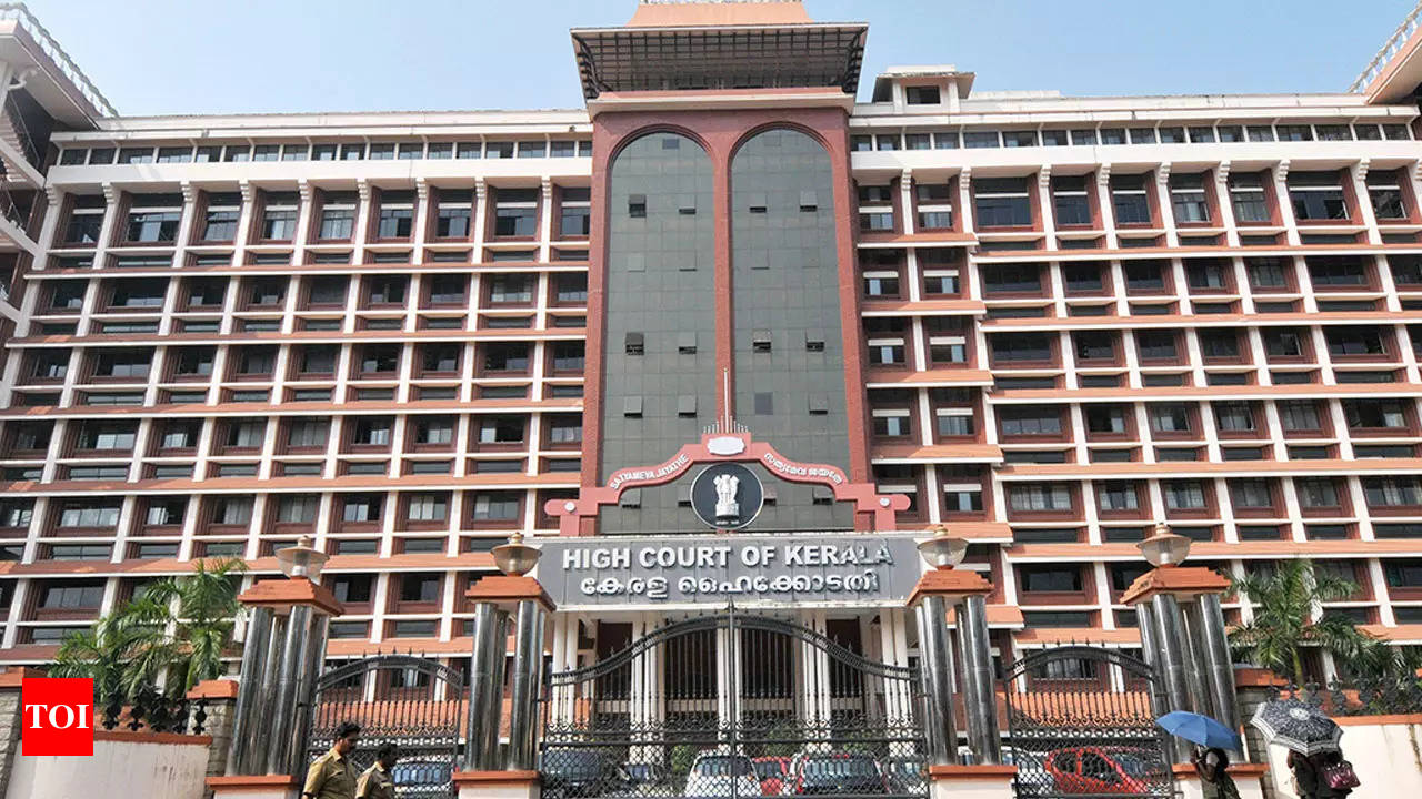 Provocative dress not licence to outrage modesty: Kerala HC | Kochi News -  Times of India