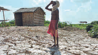Bihar govt OKs Rs 500-crore aid to 11 drought-hit districts