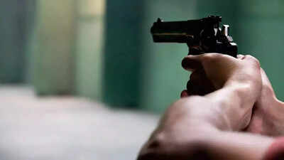 4 hurt as man opens fire over family row in Bihar