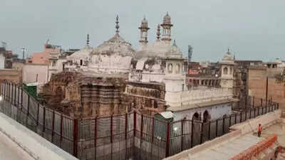 Varanasi: Suit seeks right to worship deities in Gyanvapi complex