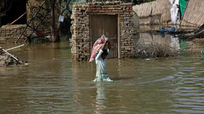 IMF mission expected to visit flood-hit Pakistan next month: Official