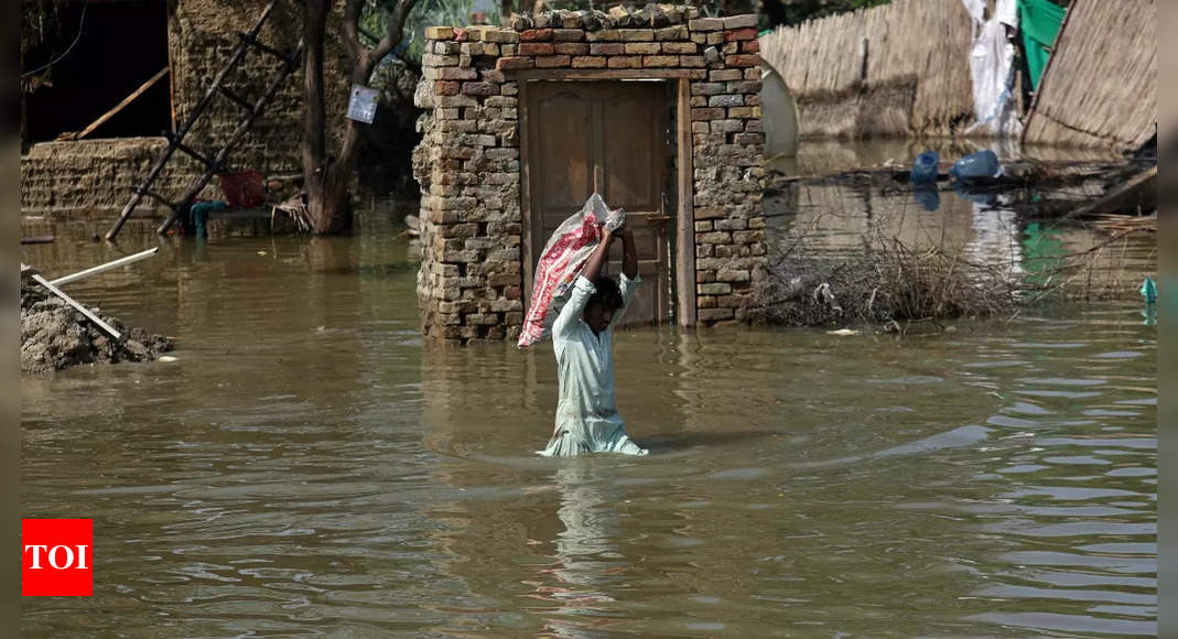IMF mission expected to visit flood-hit Pakistan next month: Official – Times of India