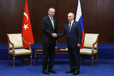Turkish President Erdogan tells government to start work on Russian gas hub