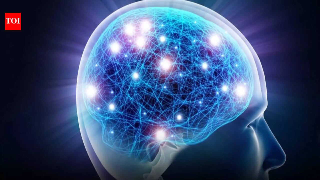 Distinct brain networks related to risk, resilience in depression ...
