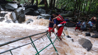 Goa: Over 40 visitors rescued at Dudhsagar waterfalls after cable bridge collapses