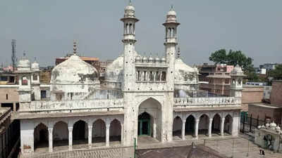 Supreme Court rejects plea for carbon dating of Gyanvapi 'shivling'
