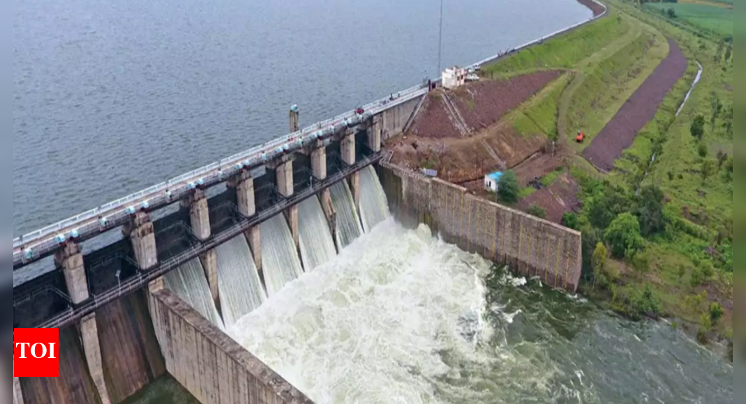 Manjara Maharashtra Water level in Manjara dam reaches 90