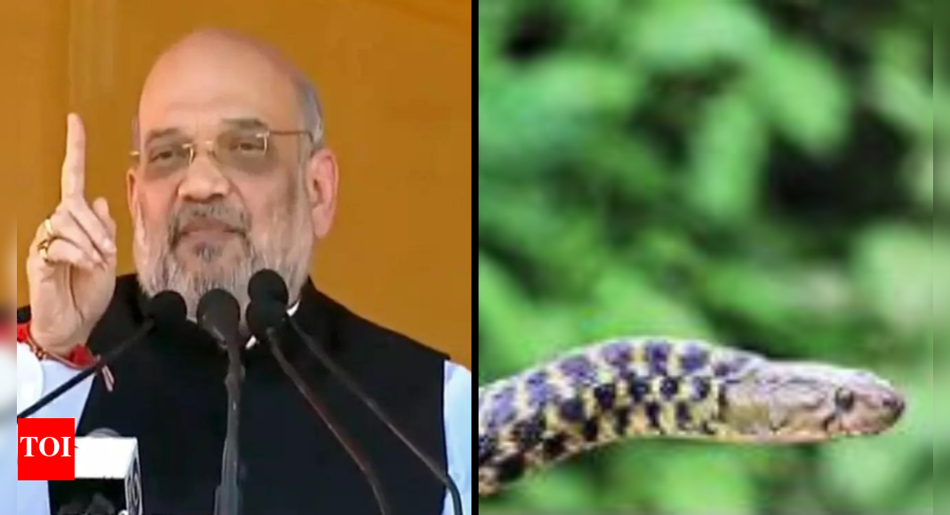 5ft-long-snake-rescued-from-union-home-minister-amit-shah-s-residence