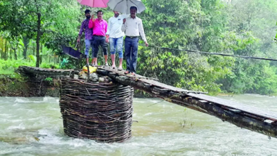 Andhra Pradesh: Tribals build own bridge