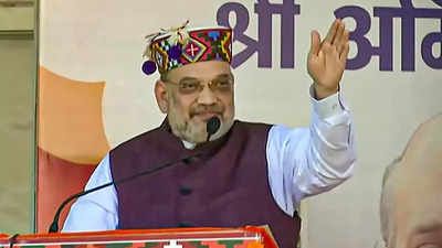 Modi govt abrogated Article 370 brought by Nehru: Amit Shah