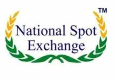 MPID court rules to pay NSEL small traders up to Rs 20 lakh, excludes corporates