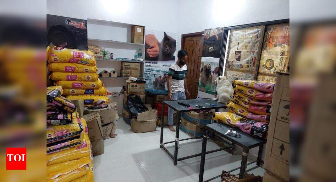 Pet owners shocked by grooming centres out to make quick buck Nagpur