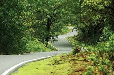 Goa: Sanguem MLA backs stir against eco-sensitive zone