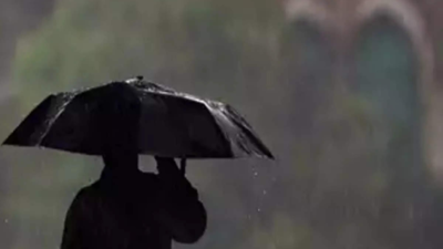 Moderate rainfall likely in Chennai, forecasts IMD