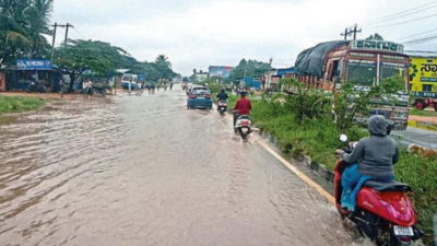Rain returns to Old Mysore with renewed fury; crops destroyed, houses damaged