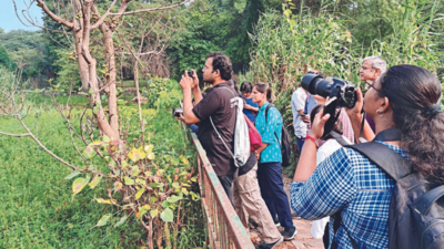 Good turnout for nature event, Delhi Development Authority plans